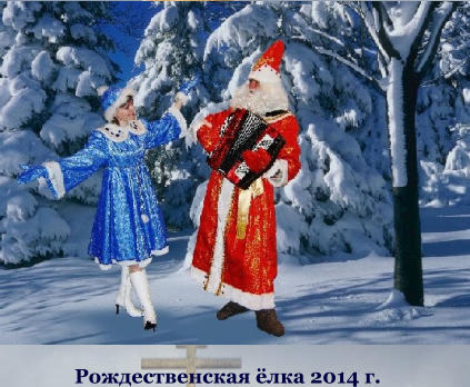 Рождественская ёлка 2014 г.